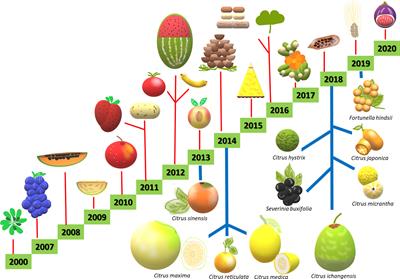 New Plant Breeding Techniques in Citrus for the Improvement of Important Agronomic Traits. A Review